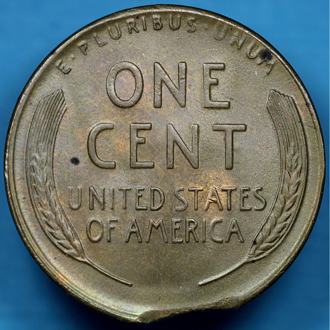 1950-D-Lincoln-Wheat-Cent-Mint-Error---Clipped-Planchet-How-To-ID-Clips