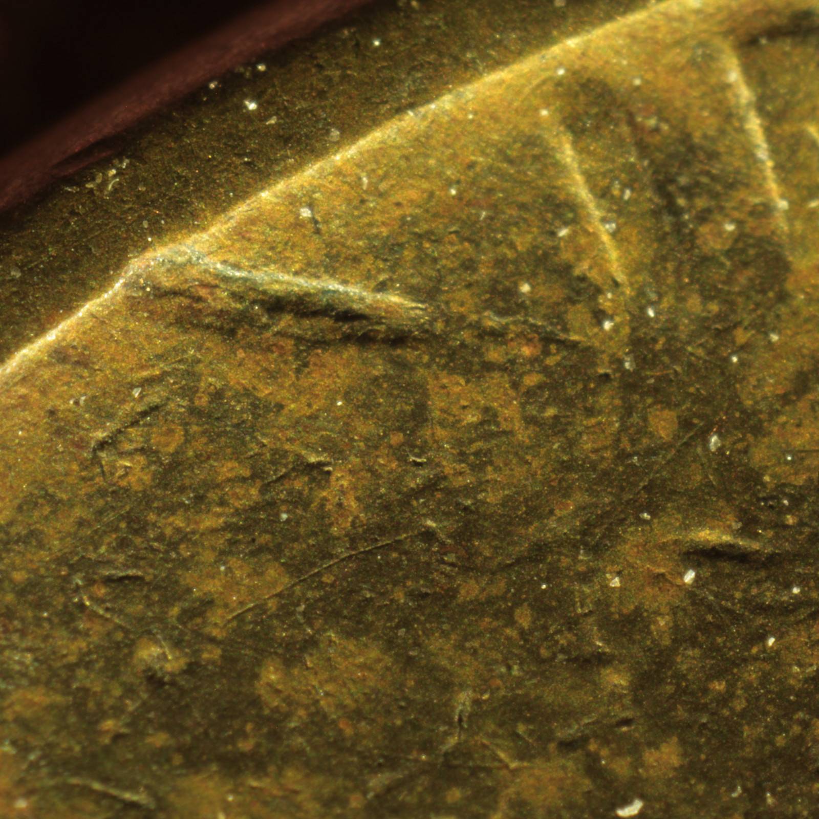 1920-S-LWC-Struck-Through-Multiple-Rim-Burrs