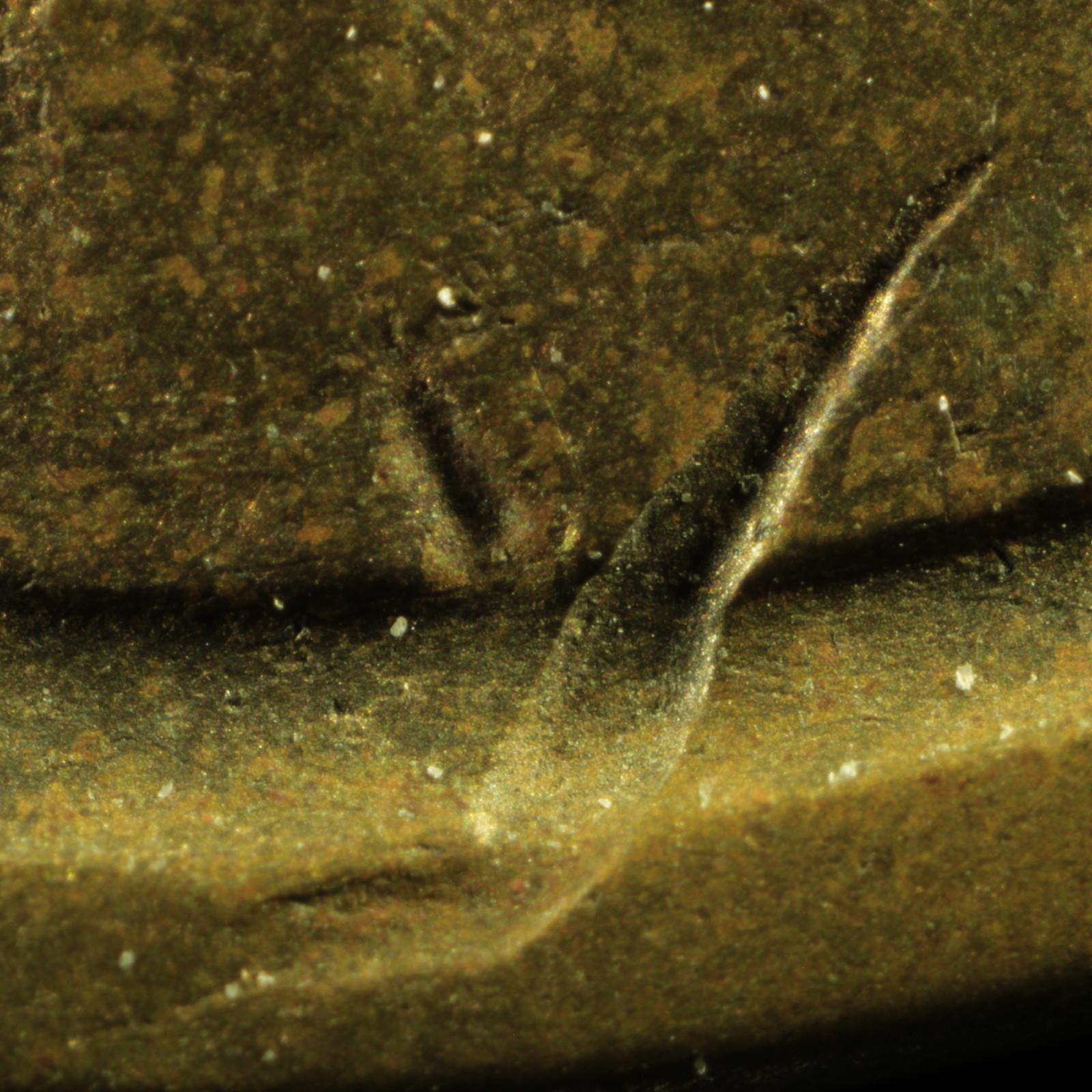 1920-S-LWC-Struck-Through-Multiple-Rim-Burrs