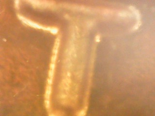 1970-S-DDO-Proof-Large-Date-Lincoln-Memorial-FS-113?