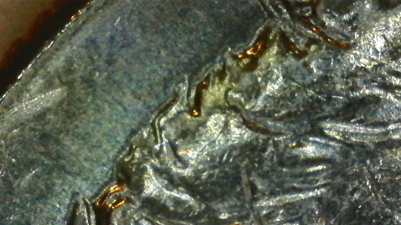 2023-D-Kennedy-Half-Dollar---DDO?