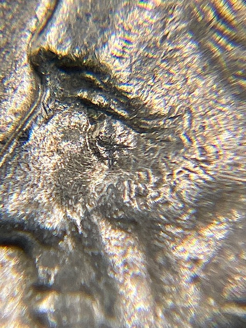1967-Roosevelt-Dime---Possibly-New-DDO?