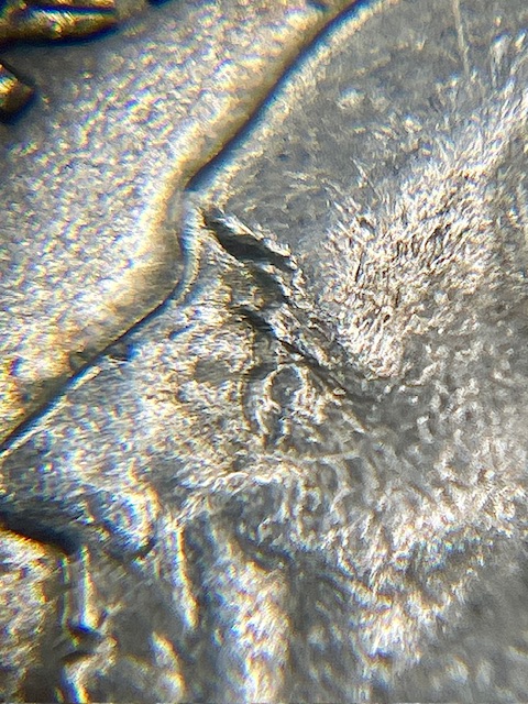 1967-Roosevelt-Dime---Possibly-New-DDO?