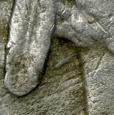 Does-This-Look-Like-A-Re-Engraving-On-The-Missing-Feather-Of-A-1920-S-Buffalo-Nickel?