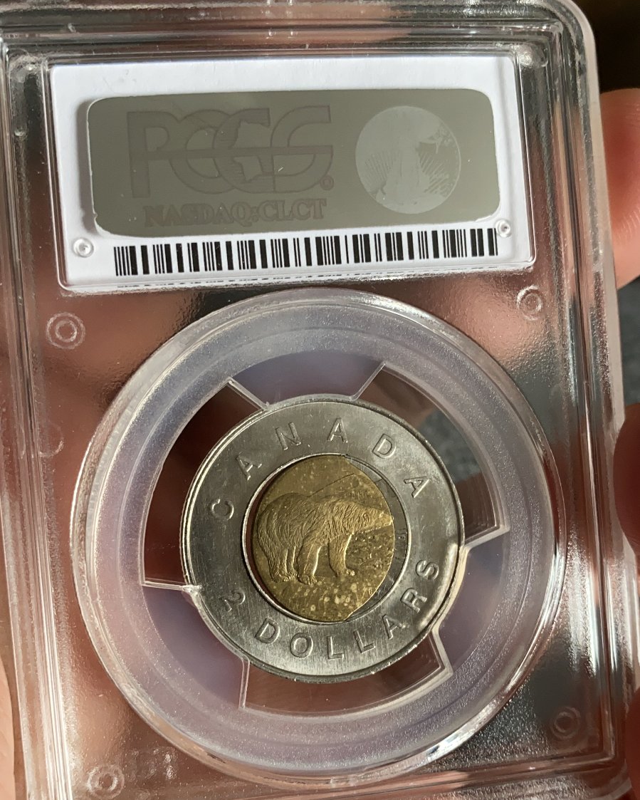 Experts-Opinions-Needed,-German-Planchet?-1996-Toonie-Error.