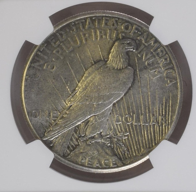 1928-P-Peace-Dollar-You-Vs.-NGC
