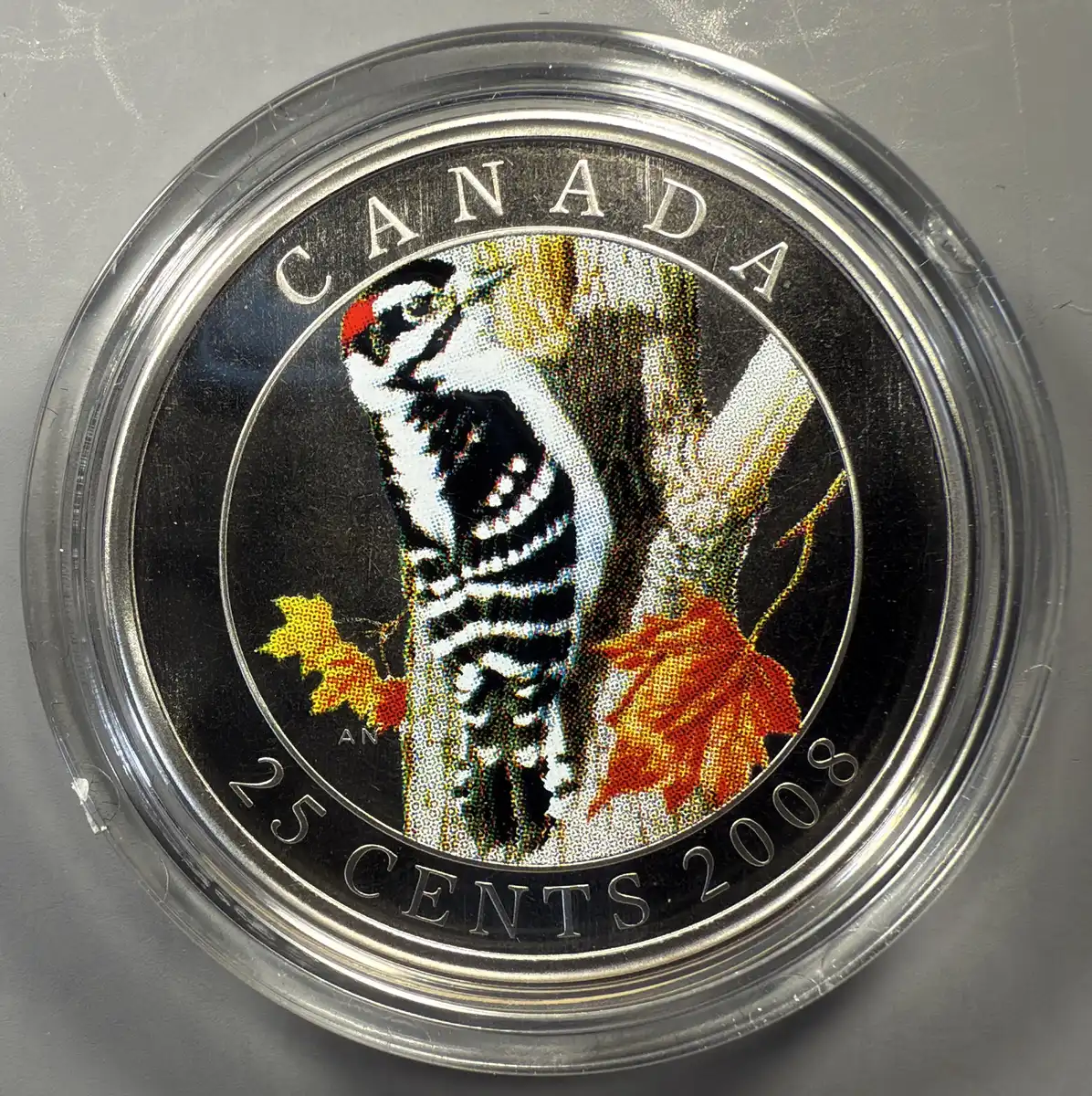 For-Sale:-Canadian-NCLT-And-NGC-Shipwreck-El-Cazador-8-Reale