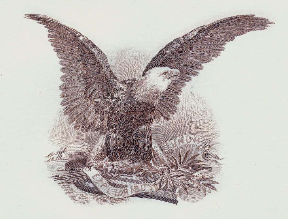 Bald-Eagle-Vignettes