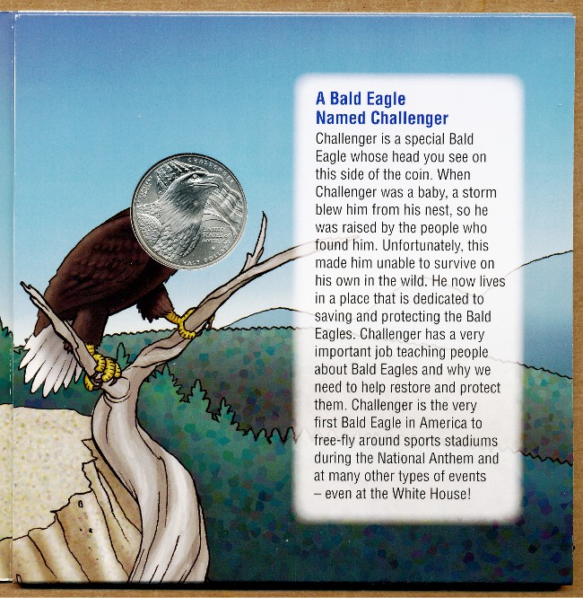 Commems-Collection-Modern:-2008-Bald-Eagle-Recovery---Young-Collector's-Set