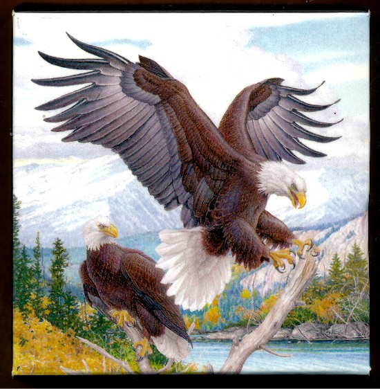 Commems-Collection-Canadian:-2016-Baronial-Bald-Eagle-Silver-$20
