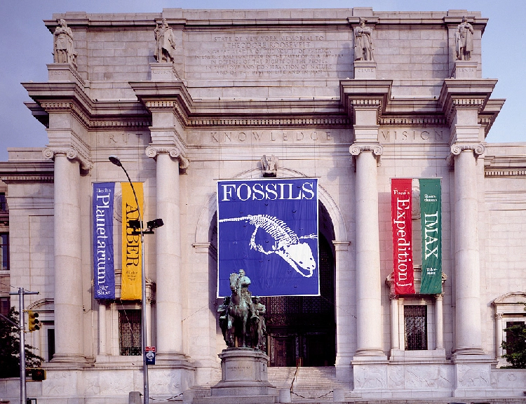Commems-Collection-Modern:-What-If?-1995-American-Museum-Of-Natural-History-125th-Anniversary