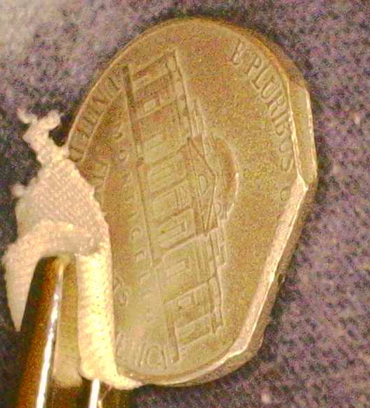 2011-Jefferson-Nickel-P-Double-Clipped?