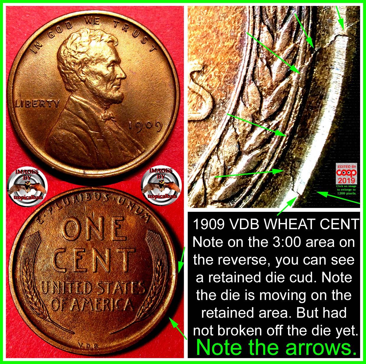 1909-VDB-Lincoln-Wheat-Cent---Unlisted-Retained-Cud---MS