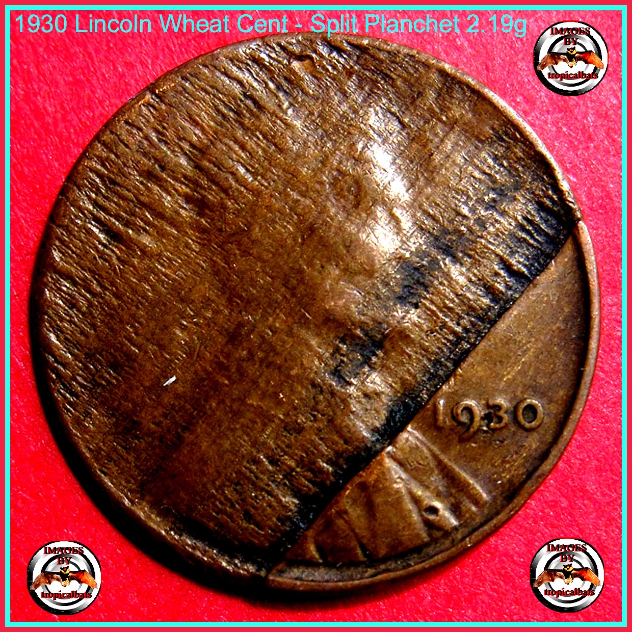 1930-Lincoln-Wheat-Cent---Split-Planchet--2.19g