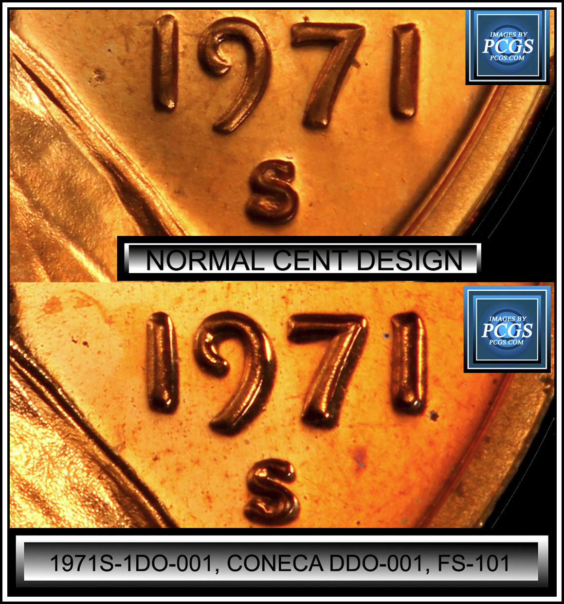 2019-Shield-Cent--DDO-On-Liberty?