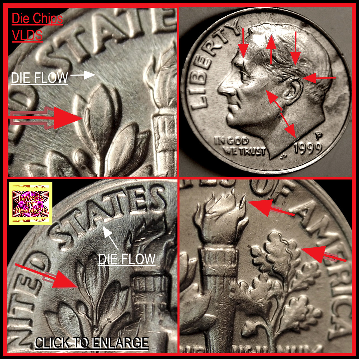 2009-P-Sacagawea-Possible-Die-Chip?...