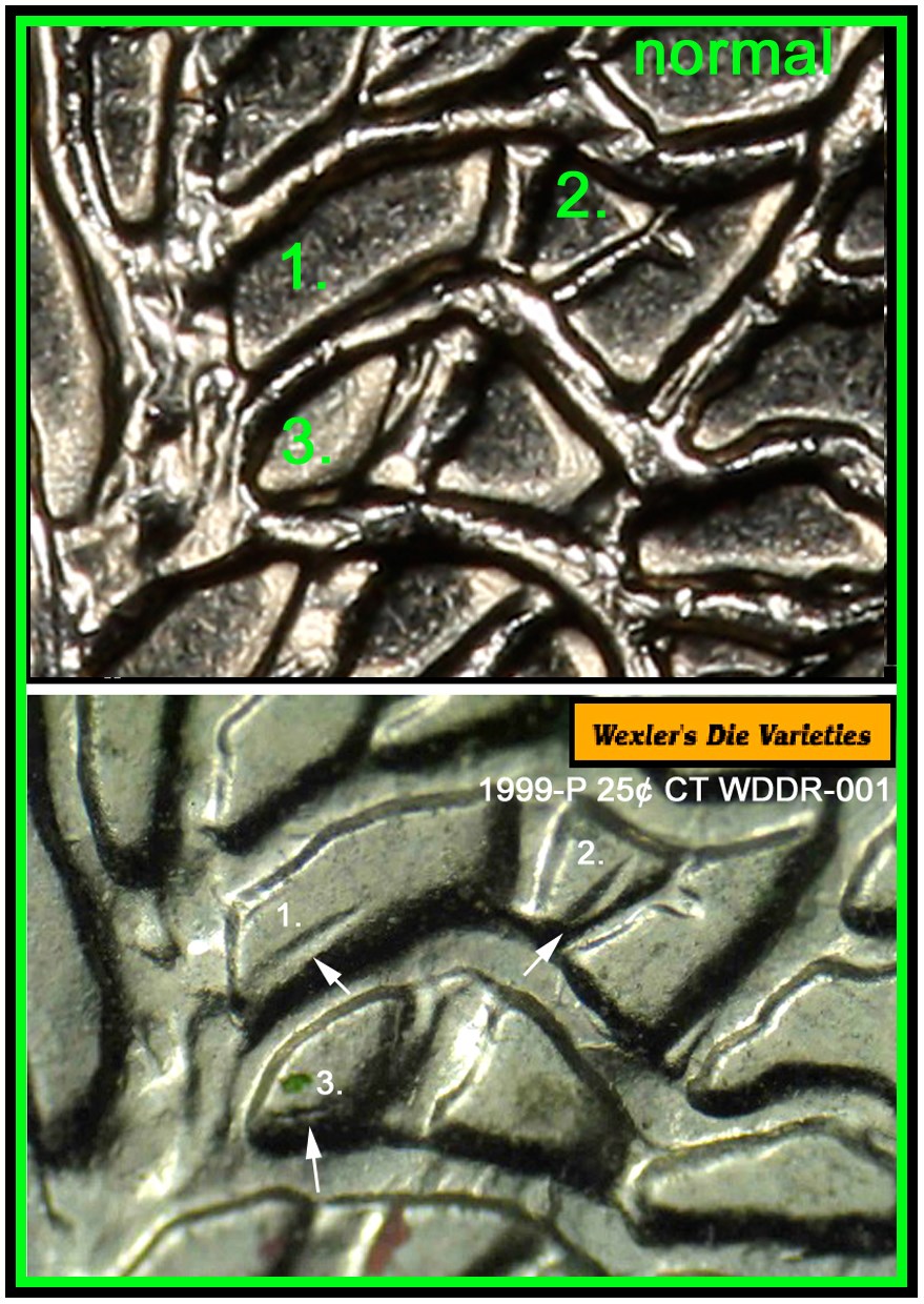 2013-White-Mountain-Quarter-With-Possible-DDR-And-Bumps.