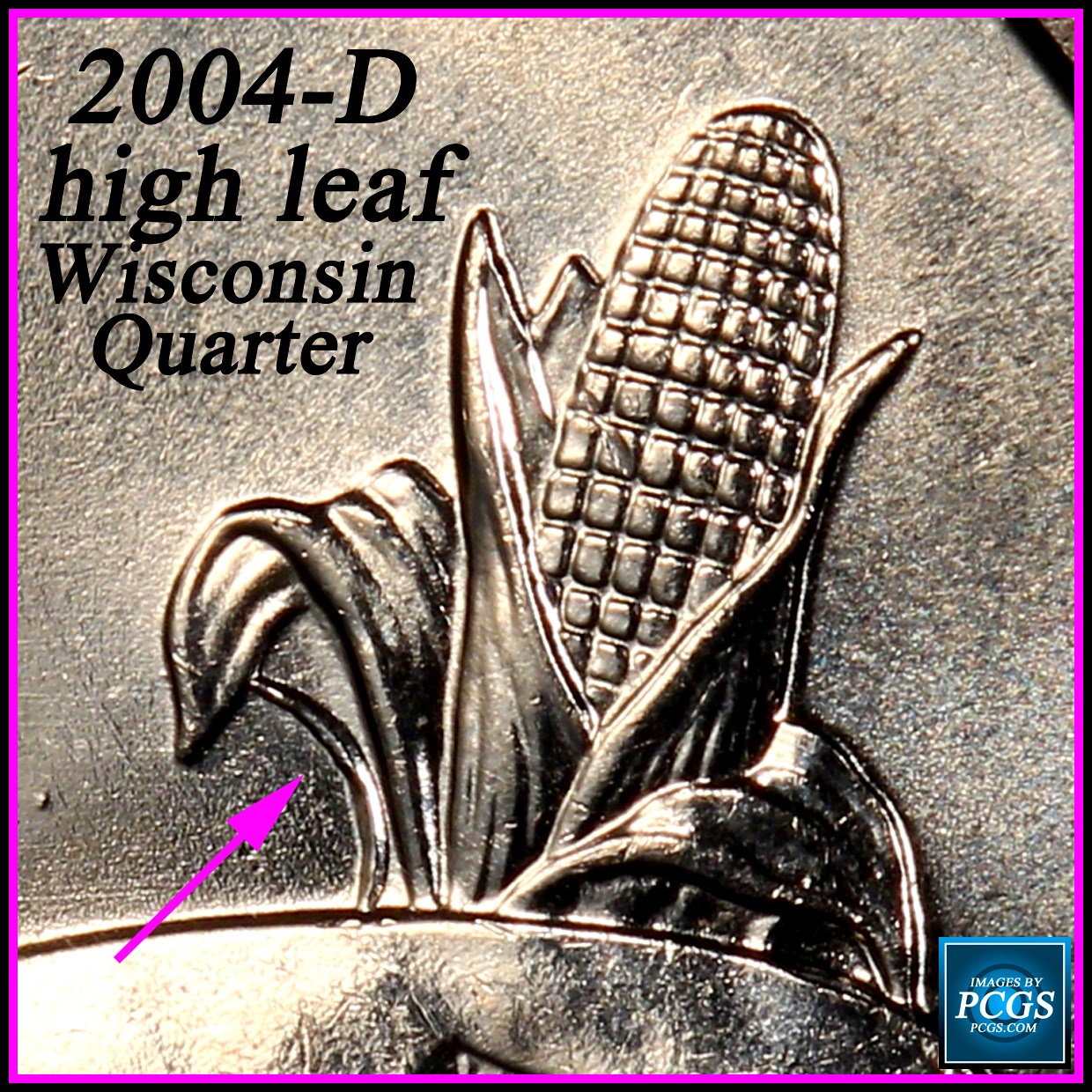 Received-This-Wisconsin-25c-In-Change-Today,-Input-On-Extra-Leaf-?