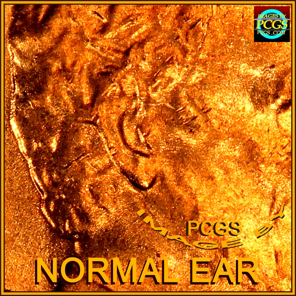 1978-P-LMC-Check-Out-The-Ear.