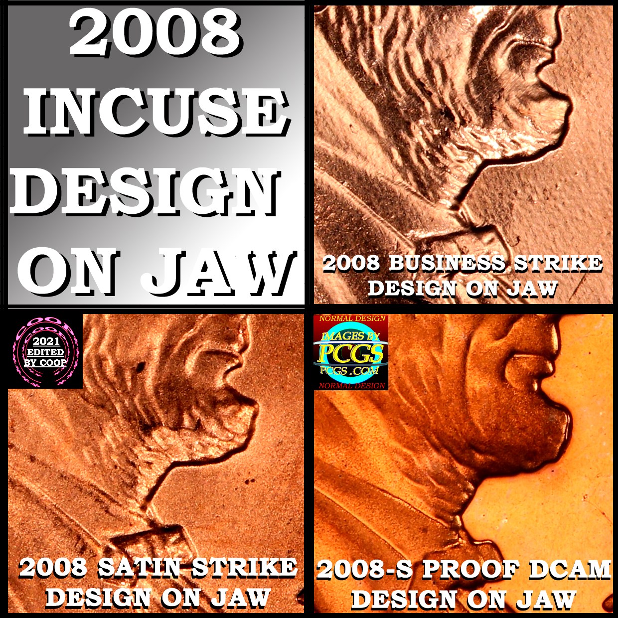 2008-Lincoln-Cent-Looks-Like-A-Pimple-On-His-Chin