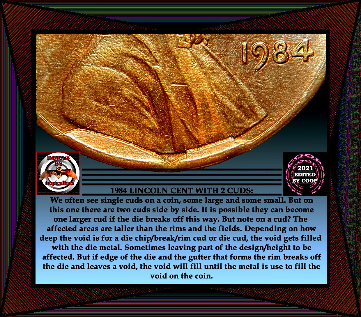 1984-Penny-Unknown-Error