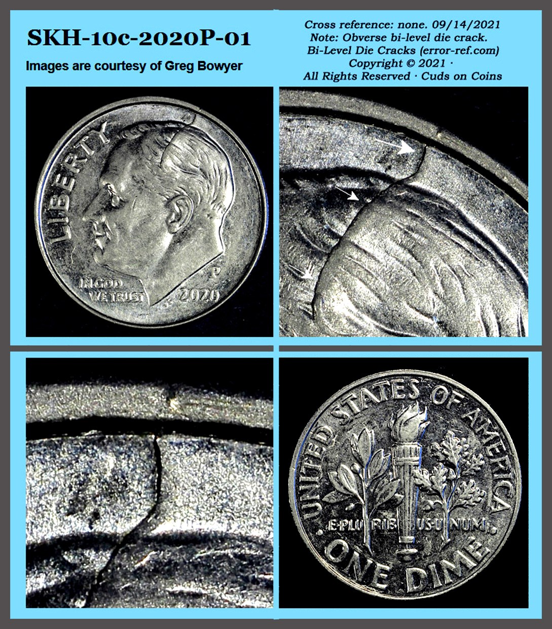 2020-P-10c-Spike-Head