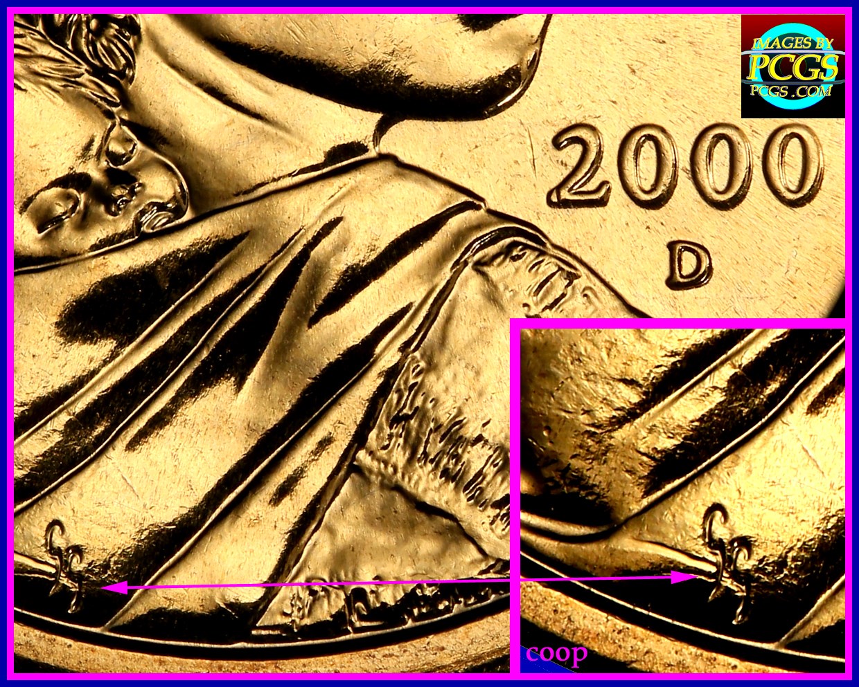 2000-D-Sacagawea-Dollar-With-Lots-Of-Errors?