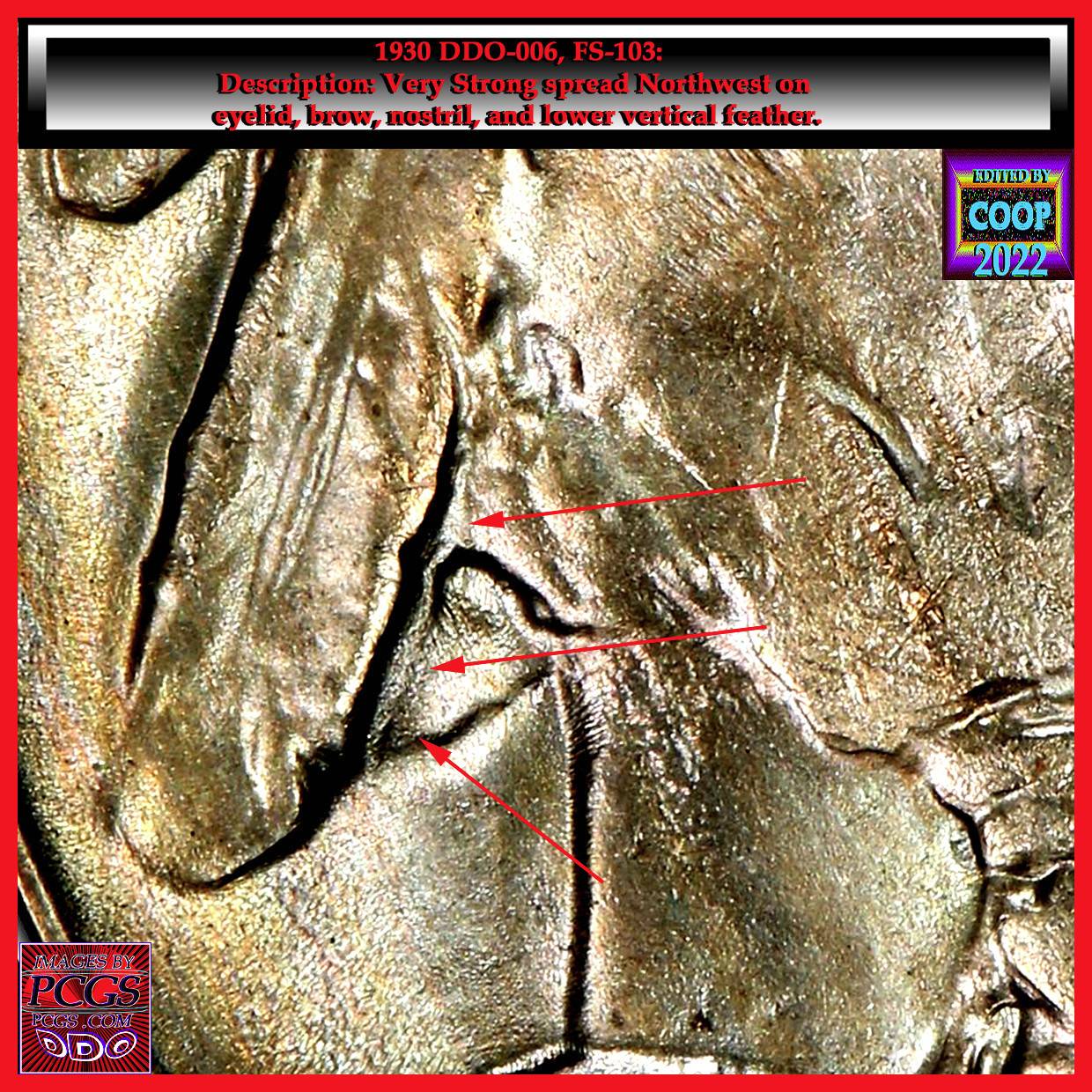 1930-P-Buffalo-Nickel-DDO?