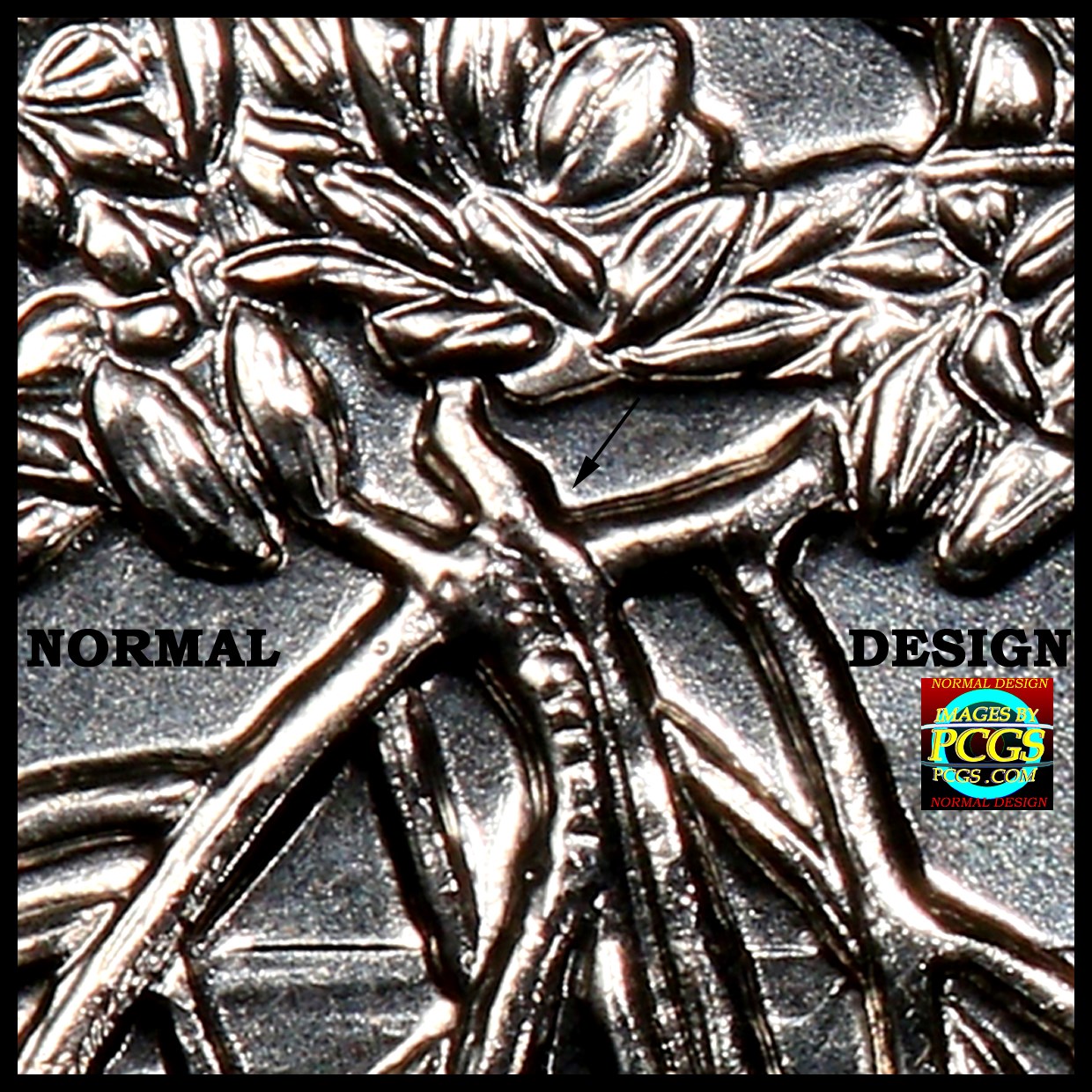 2020-P-Salt-River-Bay?