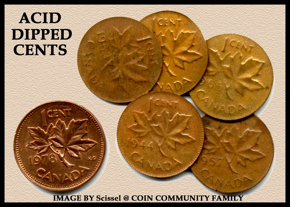 Is-This-Enviromental-Damage-Wheatie-?