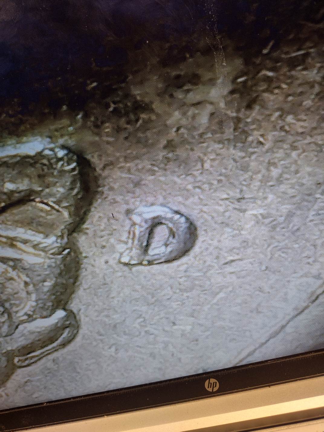 1996-D-Washington-Quarter-Is-It-Double-Struck?