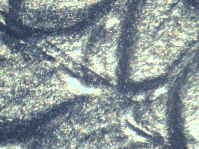 2021-W-Silver-Eagle-T-2-Die-Scratches