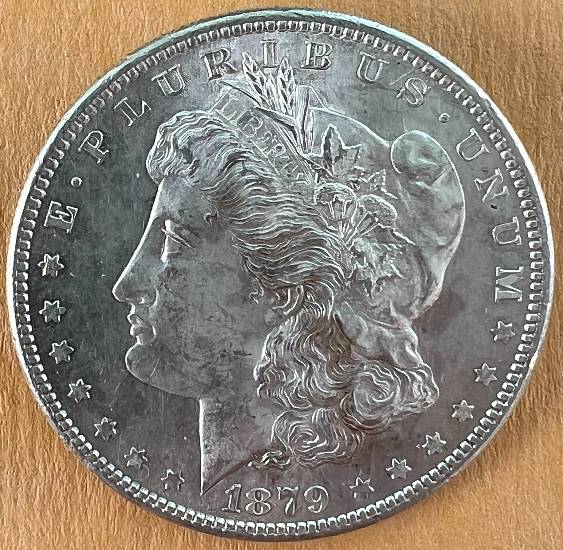 Has-Anyone-Used-ANACS-Conservation-Service?