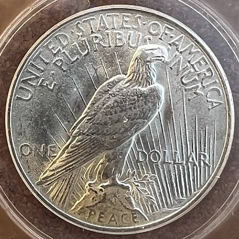 Has-Anyone-Used-ANACS-Conservation-Service?