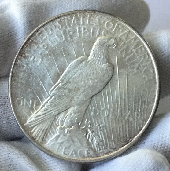 1923-D-Peace-Dollar-For-Grading---Bu?