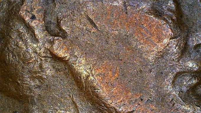 1953-D-Lincoln-Wheat-Penny