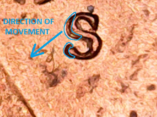 Not-Sure-If-A-Hit-Did-This-Or-If-It's-A-DD-On-This-Cent?-Thanks!