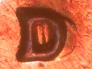 Lg-1960–d-LMC-RPM,-D/D-Northeast