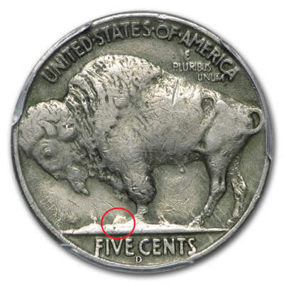 Ran-Into-A-Herd-Running-In-A-Circle.............