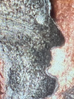 1996-D-Lincoln-Penny-Error?