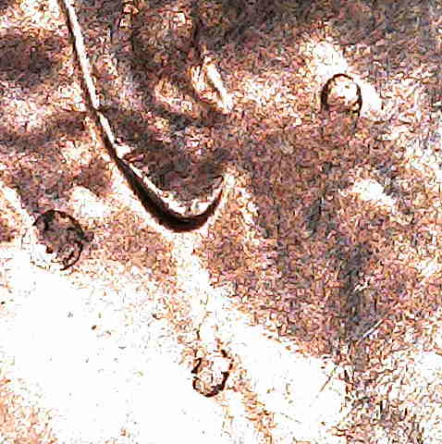 2022-Lincoln-Cent-Die-Chip-Monster-!-Help-Me-Confirm-?