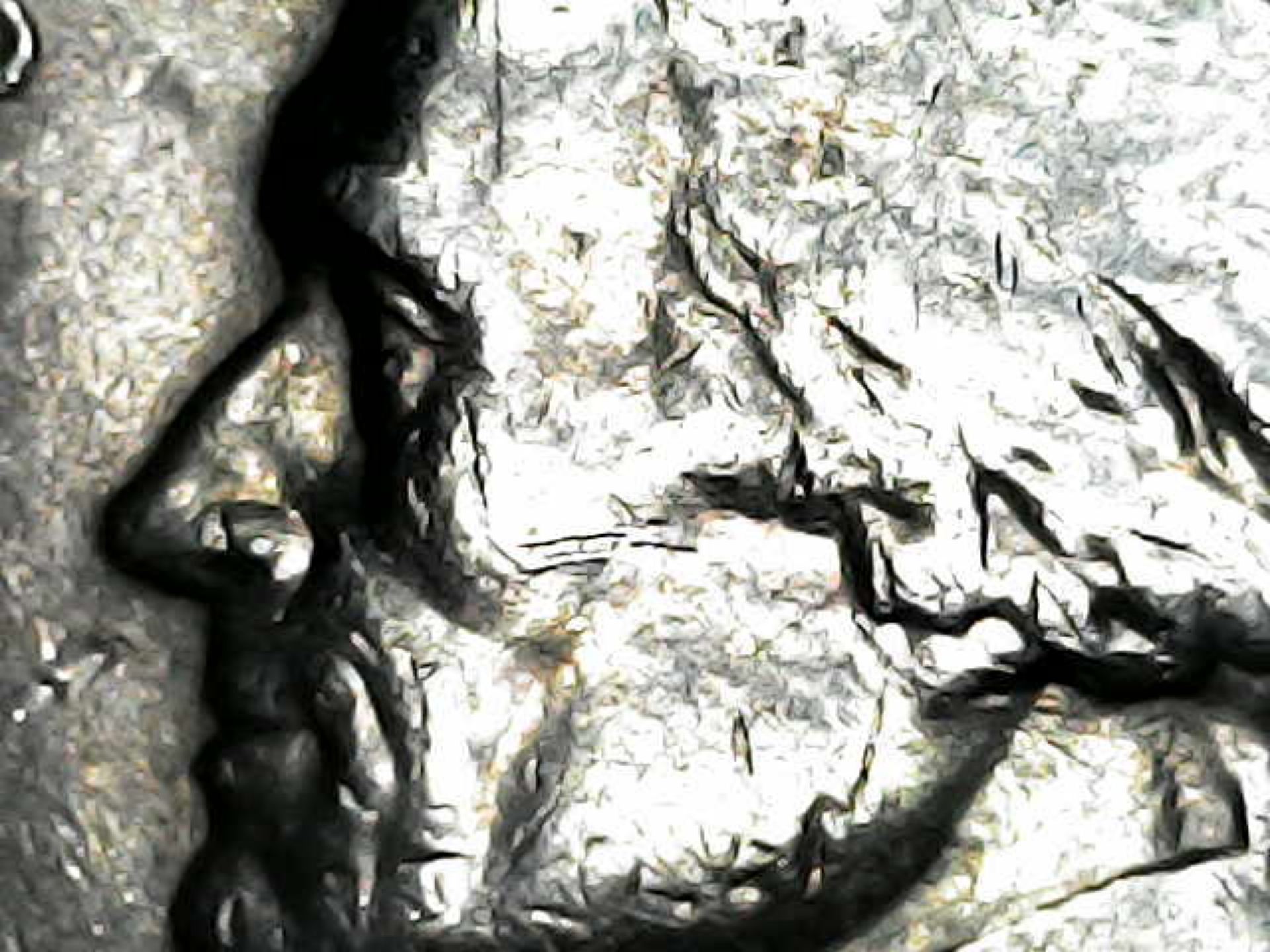 1980-P-Jefferson-Nickel-With-RPM,-Offset-Strike-And-Possible-Die-Clash-!
