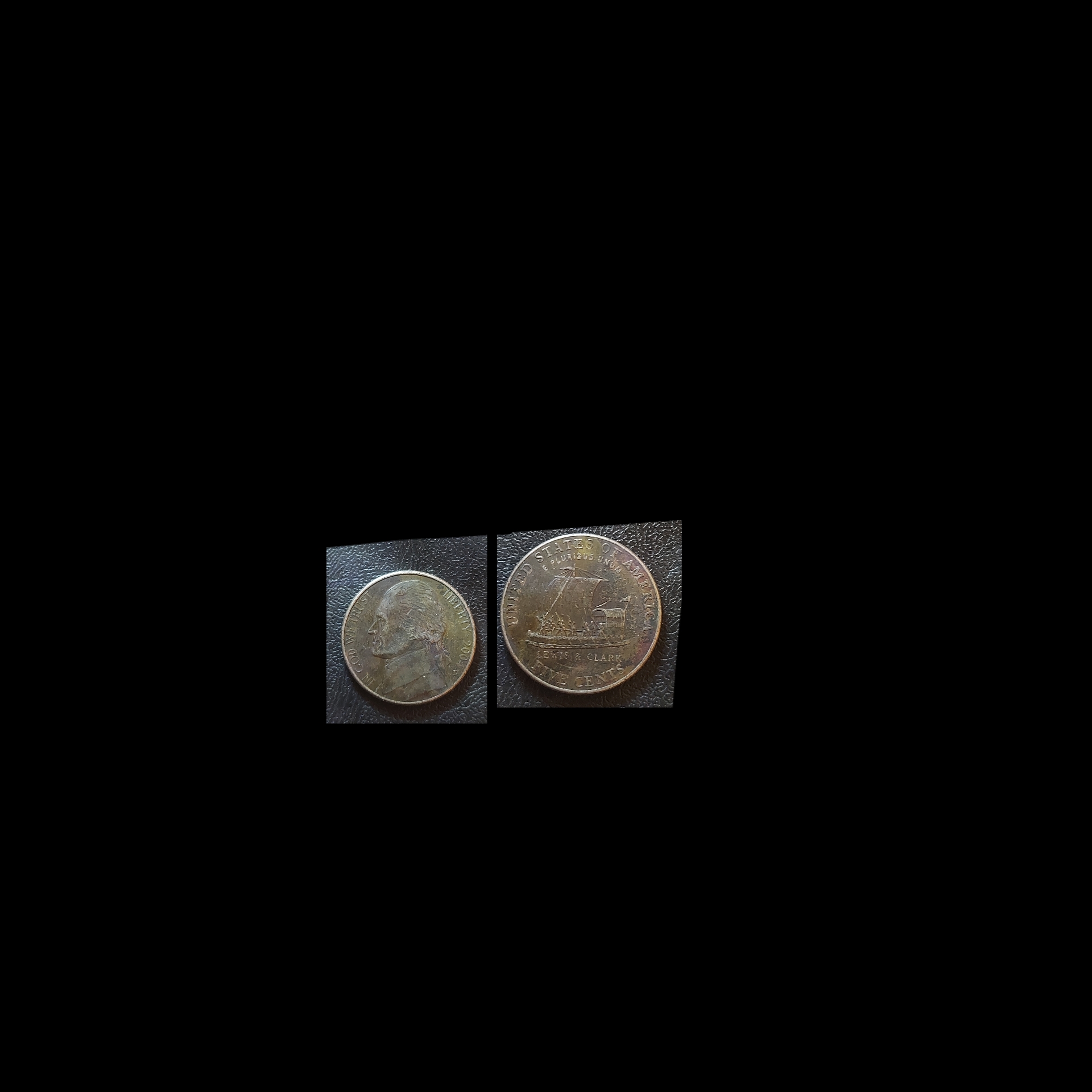 So-Has-Anyone-Ever-Seen-A-Black-Beauty-Nickel--2004