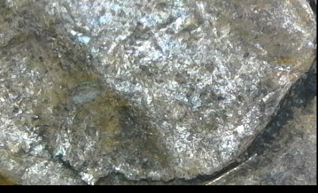 Retained-Cud-On-1948-D?