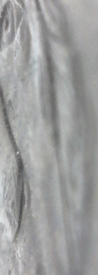 2015-P-Jefferson--Nickel-With-DDO?-Help-Please