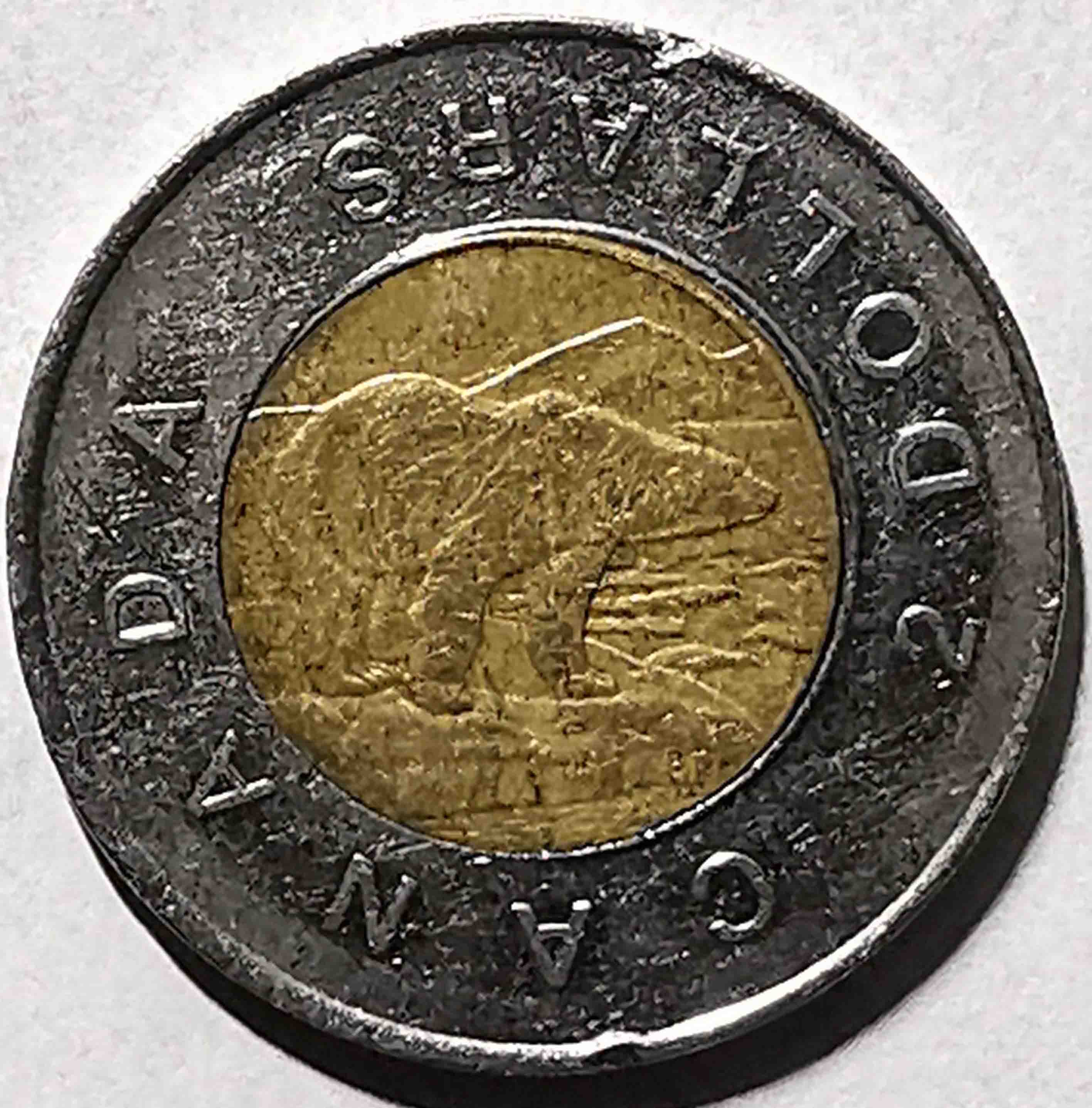 1996-Toonie-Error,-Any-Info.?