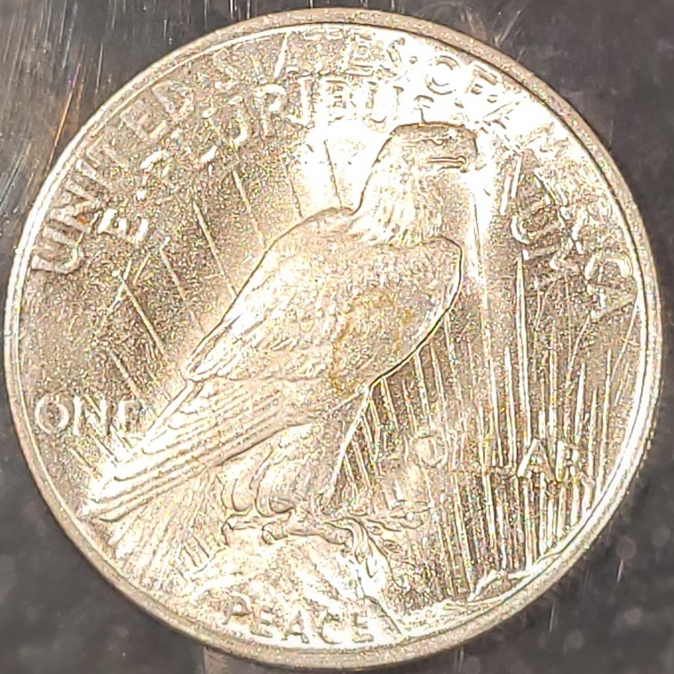 1923-Peace-Dollar-In-Large-Quantity
