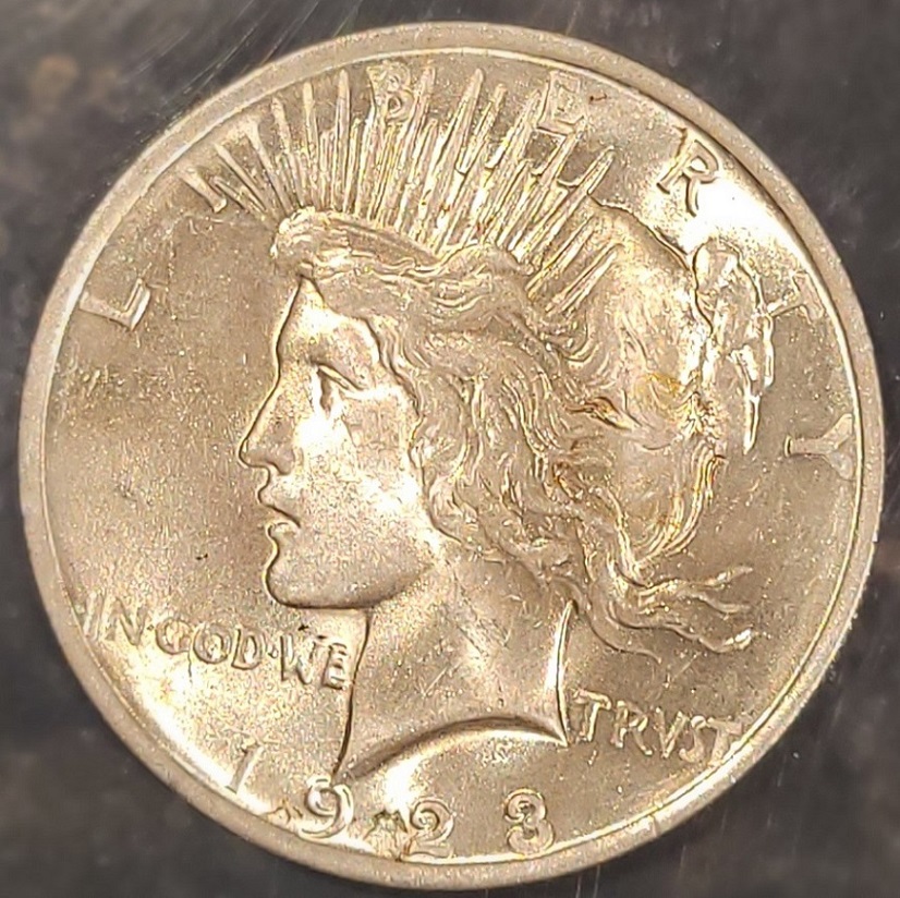 1923-Peace-Dollar-In-Large-Quantity