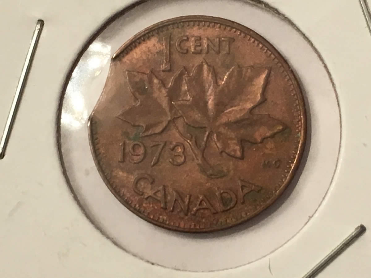 Anyone-Want-These-Clipped-Pennies?