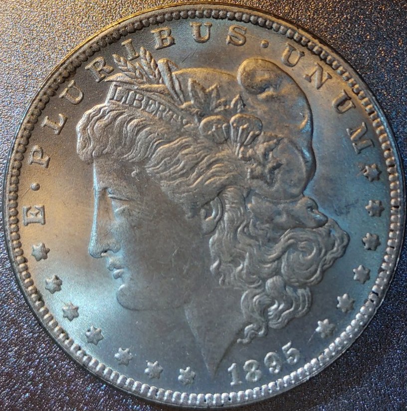 1895-Morgan-Dollar-Possible-Fake?